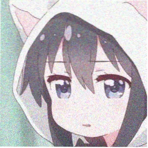 访客木野的头像